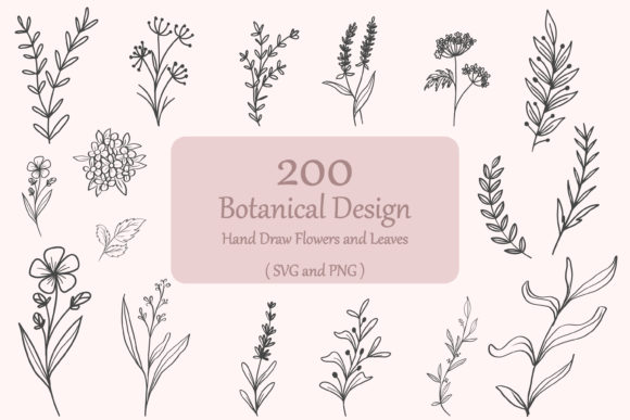 Download 200 Botanical Svg Bundle | Floral Leaves - 200 Collection