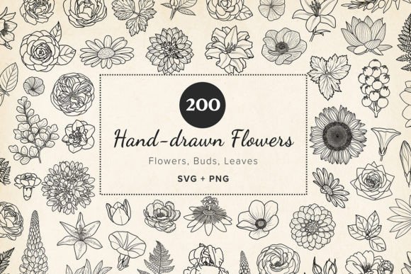 Download 200 Hand-drawn Flower &amp; Leaf SVG Clipart - 200 Collection